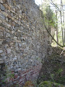 IMG_9285 Ruine Steinegg