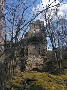 2020_03_14_Steinegg_(47) Blick auf die ehemalige Kapelle der Ruine