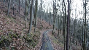 Wanderweg Wanderweg