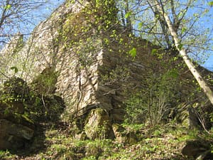Ruine Steinegg