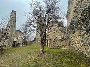 auf der Ruine Schauenstein